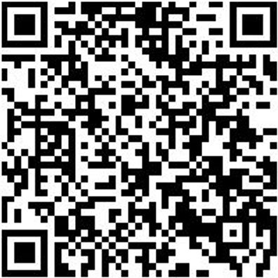 Sicherheitshalbschuh S1Pl Hs Carbon 290 S1Pl Esd Dunkelblau 38