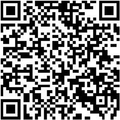 Sicherheitshalbschuh S1Pl Hs Carbon 290 S1Pl Esd Dunkelblau 40