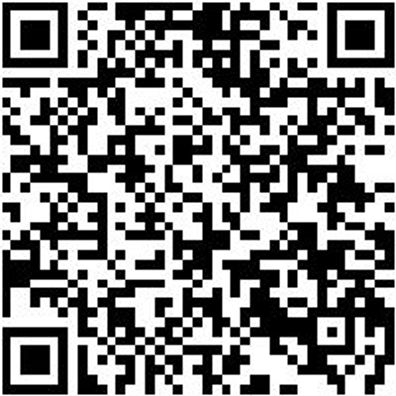 Sicherheitshalbschuh S1Pl Hs Carbon 290 S1Pl Esd Dunkelblau 41