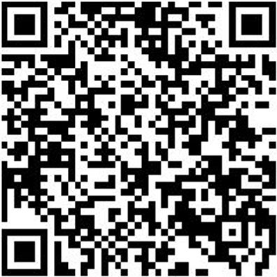 Sicherheitshalbschuh S1Pl Hs Carbon 290 S1Pl Esd Dunkelblau 43