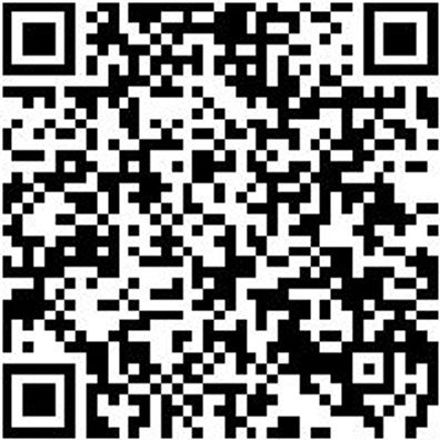 Sicherheitshalbschuh S1Pl Hs Carbon 290 S1Pl Esd Dunkelblau 45