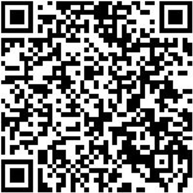 Sicherheitshalbschuh S1Pl Hs Carbon 290 S1Pl Esd Dunkelblau 46