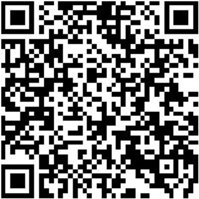 Sicherheitshalbschuh S1Pl Hs Carbon 290 S1Pl Esd Dunkelblau 47