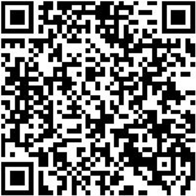 Sicherheitshalbschuh S1Pl Hs Carbon 290 S1Pl Esd Dunkelblau 48