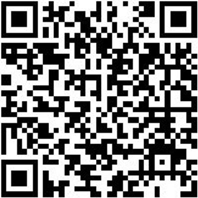 Sicherheitshalbschuh S2 Slipper S2 Weiss 36