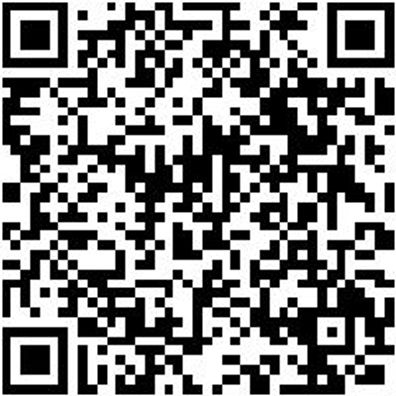 Sicherheitshalbschuh S2 Hs Comfort Flx S2 Esd W11 Swz 39