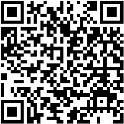 Sicherheitshalbschuh S2 Slipper S2 Weiss 38