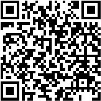 Sicherheitshalbschuh S2 Slipper S2 Weiss 41