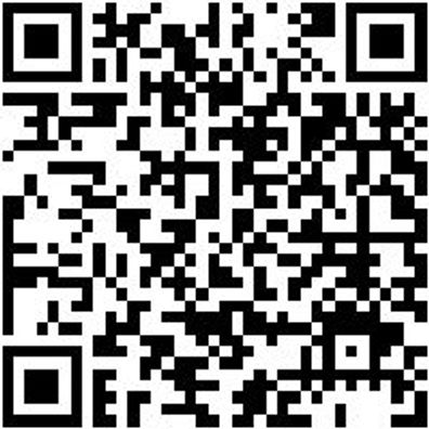 Sicherheitshalbschuh S2 Slipper S2 Weiss 44