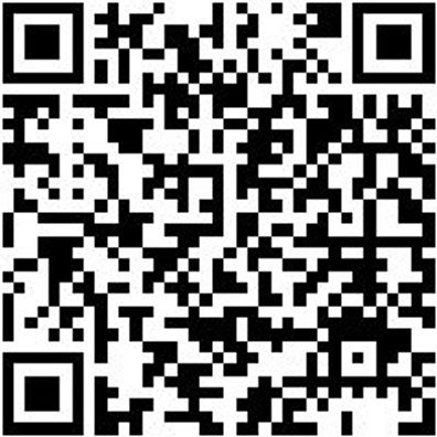 Sicherheitshalbschuh S2 Slipper S2 Weiss 35