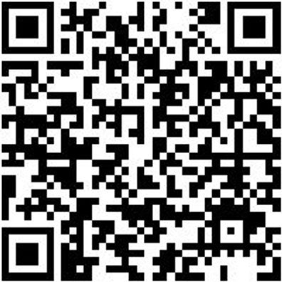 Sicherheitshalbschuh S2 Slipper S2 Weiss 37