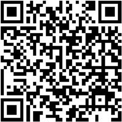 Sicherheitshalbschuh S2 Slipper S2 Weiss 40