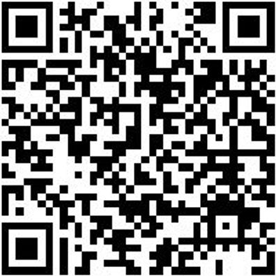 Sicherheitshalbschuh S2 Slipper S2 Weiss 43