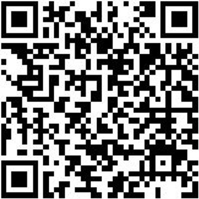 Sicherheitshalbschuh S2 Slipper S2 Weiss 45