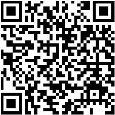 Sicherheitshalbschuh S2 Slipper S2 Weiss 46