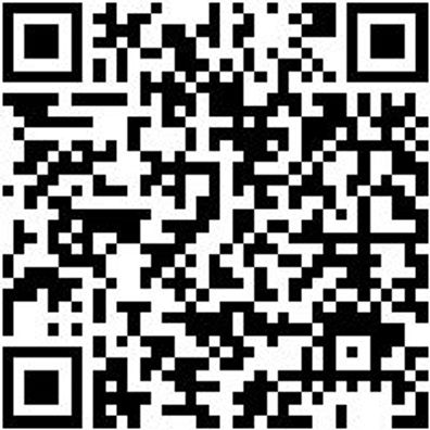 Sicherheitshalbschuh S2 Slipper S2 Weiss 47