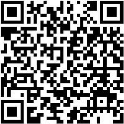 Sicherheitshalbschuh S2 Slipper S2 Weiss 39