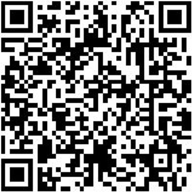 Sicherheitshalbschuh S3 Hs Image Flx S3 Esd W11 Schwarz 43