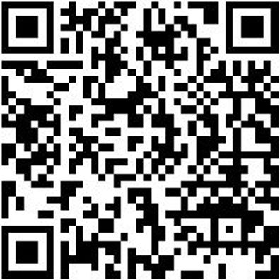 Sicherheitshalbschuh S3 Halbschuh Stretch X S3 Grau 40