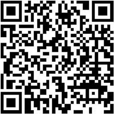 Sicherheitshalbschuh S3 Halbschuh Stretch X S3 Grau 42