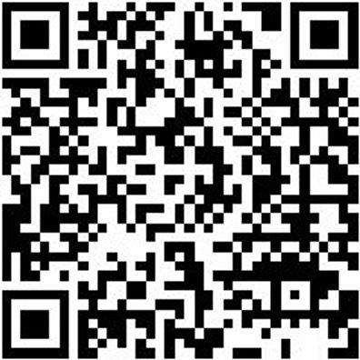 Sicherheitshalbschuh S3 Halbschuh Stretch X S3 Grau 48