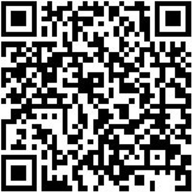 Sicherheitshalbschuh S3 Halbschuh Aries S3 Schwarz 45