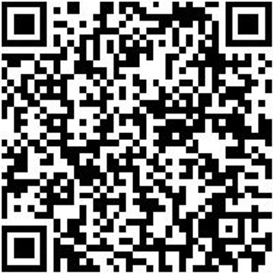 Sicherheitshalbschuh S3 Halbschuh Stretch X S3 Schwarz 43