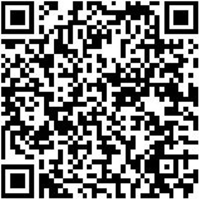 Sicherheitshalbschuh S3 Halbschuh Stretch X S3 Schwarz 45