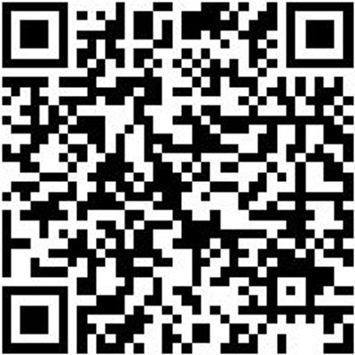 Sicherheitshalbschuh S3 Halbschuh Cruise S3 Schwarz/Gruen 36