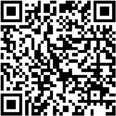 Sicherheitshalbschuh S3 Halbschuh Cruise S3 Schwarz/Gruen 39