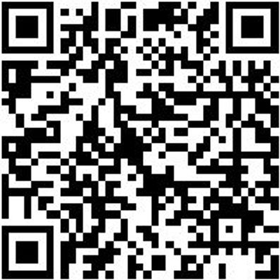 Sicherheitshalbschuh S3 Halbschuh Cruise S3 Schwarz/Gruen 42