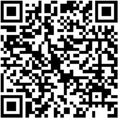 Sicherheitshalbschuh S3 Halbschuh Cruise S3 Schwarz/Gruen 44