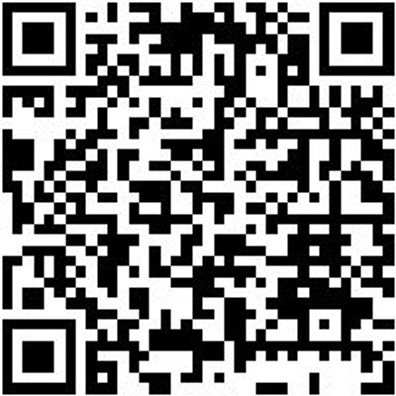 Sicherheitshalbschuh S3 Halbschuh Taurus S3 Schwarz 45