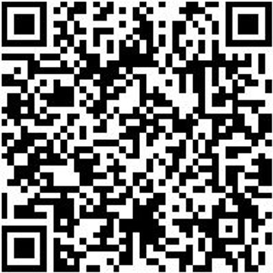 Sicherheitshalbschuh S3 Hs Image Flx S3 Esd W10 Schwarz 40