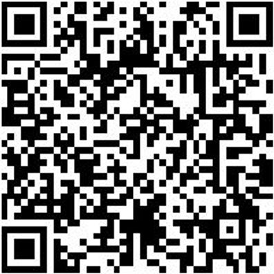 Sicherheitshalbschuh S3 Hs Image Flx S3 Esd W12 Schwarz 40