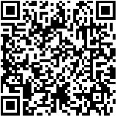 Sicherheitshalbschuh S3 Hs Image Flx S3 Esd W11 Schwarz 40