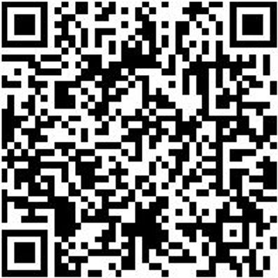 Sicherheitshalbschuh S3 Hs Image Flx S3 Esd W11 Schwarz 41