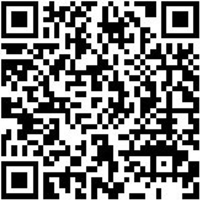 Sicherheitshalbschuh S3 Halbschuh Stretch X S3 Grau 36