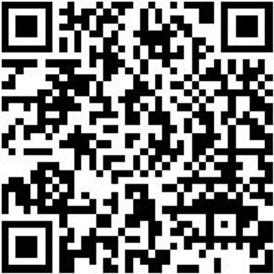 Sicherheitshalbschuh S3 Halbschuh Stretch X S3 Grau 37