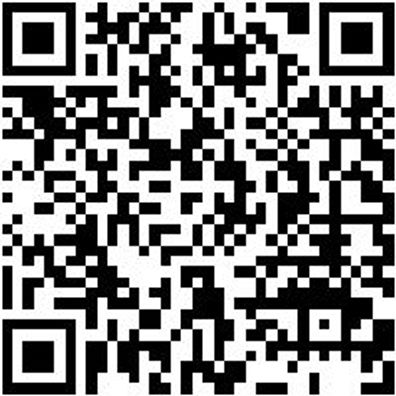 Sicherheitshalbschuh S3 Halbschuh Stretch X S3 Grau 39