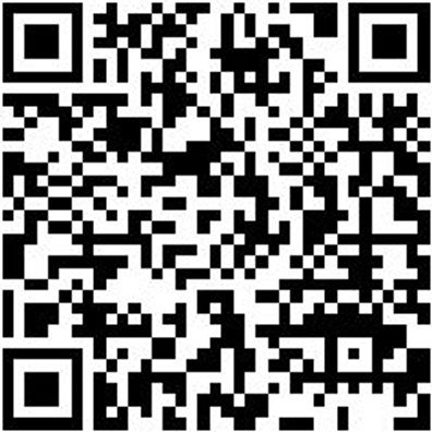 Sicherheitshalbschuh S3 Halbschuh Stretch X S3 Grau 41