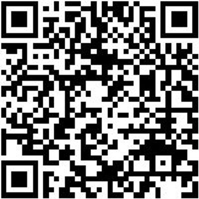 Sicherheitshalbschuh S3 Halbschuh Hercules S3 Schwarz 45