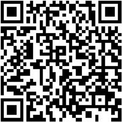 Sicherheitshalbschuh S3 Halbschuh Aries S3 Schwarz 48