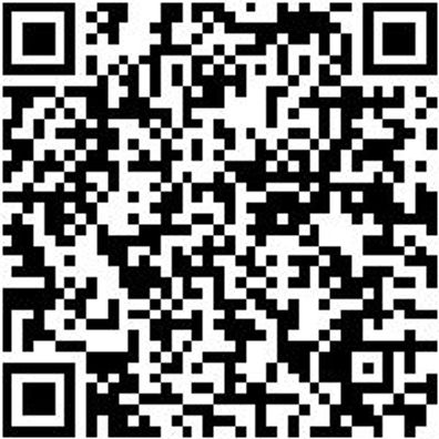 Sicherheitshalbschuh S3 Halbschuh Stretch X S3 Schwarz 48