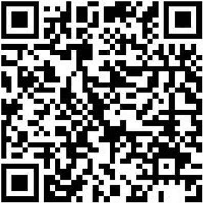 Sicherheitshalbschuh S3 Halbschuh Cruise S3 Schwarz/Gruen 37