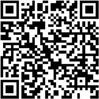 Sicherheitshalbschuh S3 Halbschuh Cruise S3 Schwarz/Gruen 38