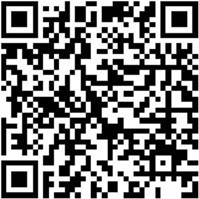 Sicherheitshalbschuh S3 Halbschuh Cruise S3 Schwarz/Gruen 41