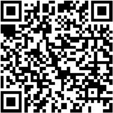 Sicherheitshalbschuh S3 Halbschuh Cruise S3 Schwarz/Gruen 43