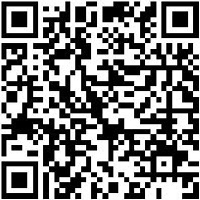 Sicherheitshalbschuh S3 Halbschuh Cruise S3 Schwarz/Gruen 45