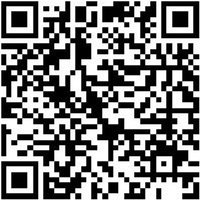 Sicherheitshalbschuh S3 Halbschuh Cruise S3 Schwarz/Gruen 46